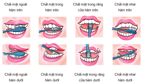 Hướng dẫn cách đánh răng đúng cách